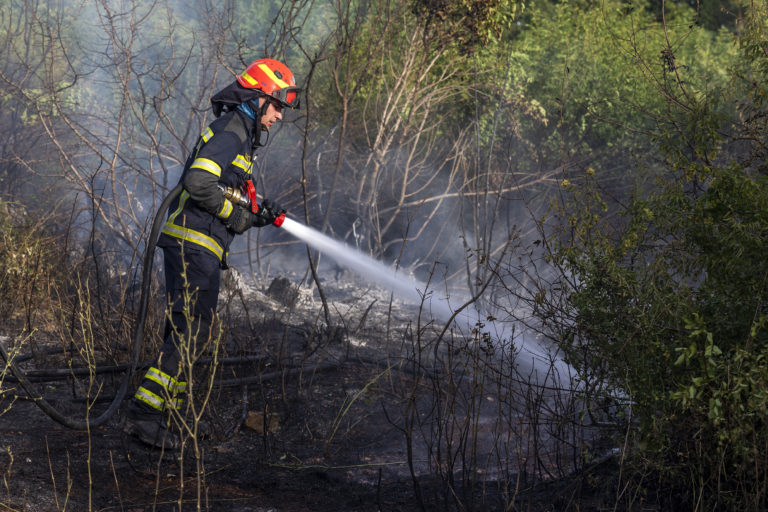 Istria. Violento incendio nella zona di Antenal (Cittanova)