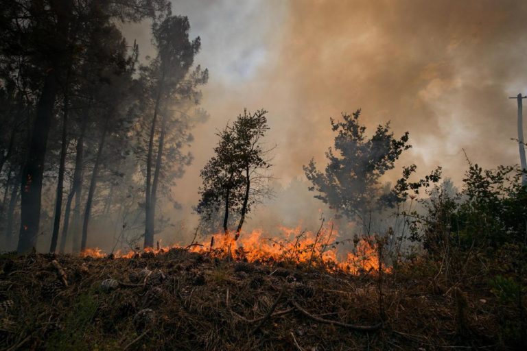 Incendi e caldo in Europa, migliaia di evacuati e centinaia di morti
