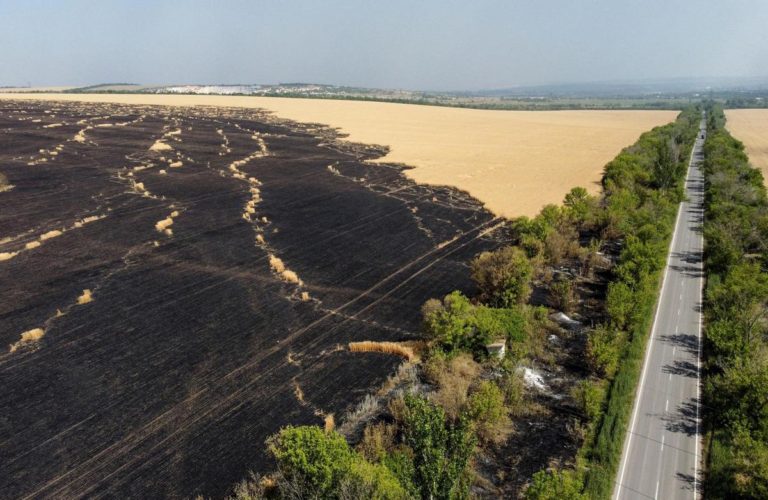 Ucraina, bruciano i campi di grano: raccolti a rischio