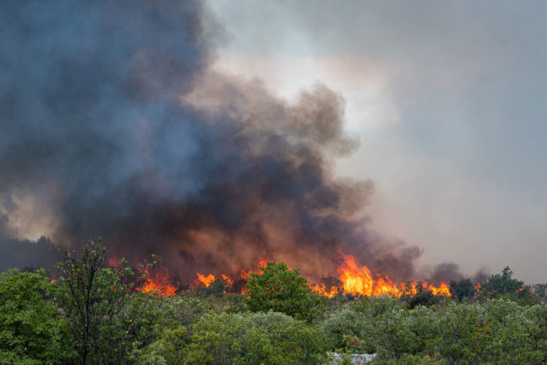 Tre incendi divampati contemporaneamente nell’area di Sebenico