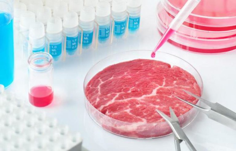 Carne sintetica: alimento o affare del futuro?