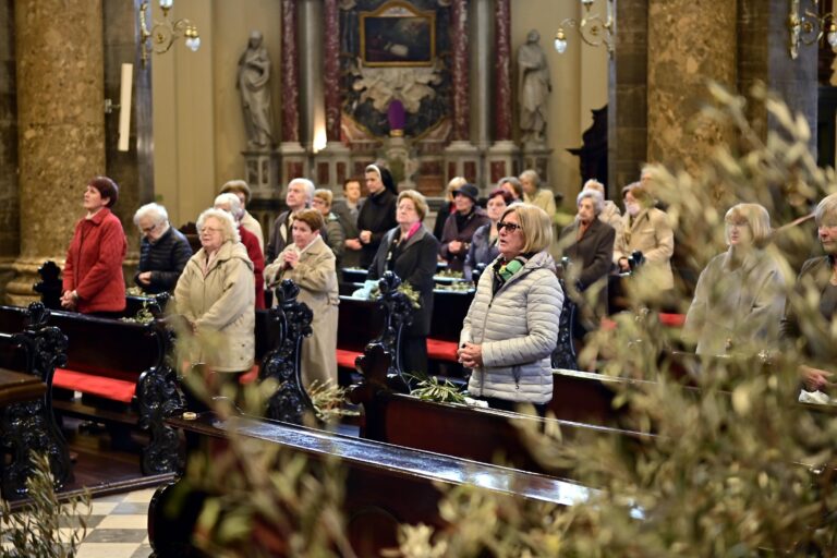 Domenica delle Palme. Messa in italiano nella Cattedrale di San Vito (foto)
