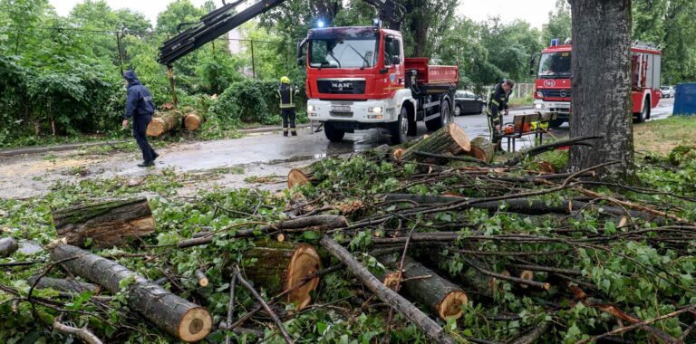 Temporali Croazia: distrutti 1,3 milioni di metri cubi di legna