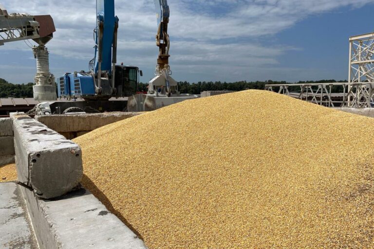Ucraina: «Accordo con la Croazia per l’export del grano»