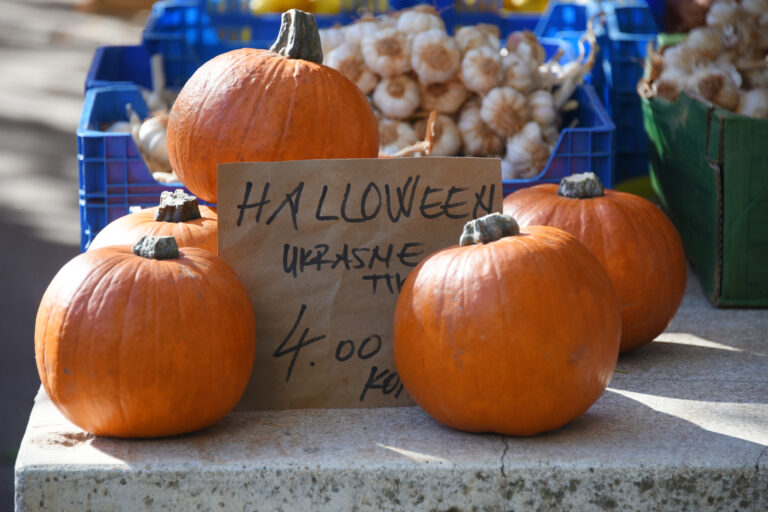 Il business di Halloween: zucche in vendita a 4 euro