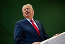 Groenlandia, Trump dice sì all’accordo: decisivo ok a basi Usa sull’isola