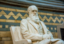 INSEGNANDO S’IMPARA Ciao Darwin anzi Addio Darwin